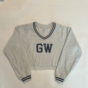 Champion Gray V-Neck Sweatshirt with Black Trim